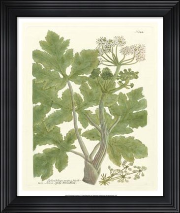 Framed Greenery I Print
