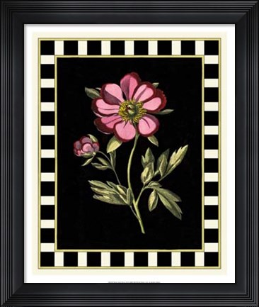 Framed Pink Peony II Print