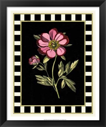 Framed Pink Peony II Print