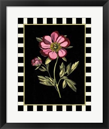 Framed Pink Peony II Print