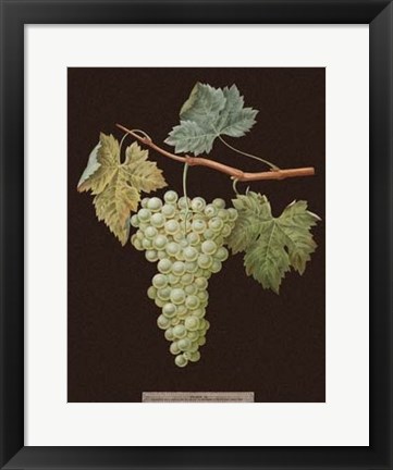 Framed White Grapes Print