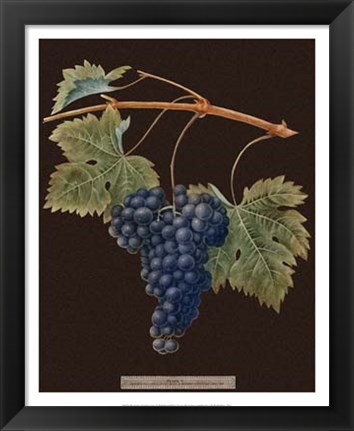 Framed Purple Grapes Print