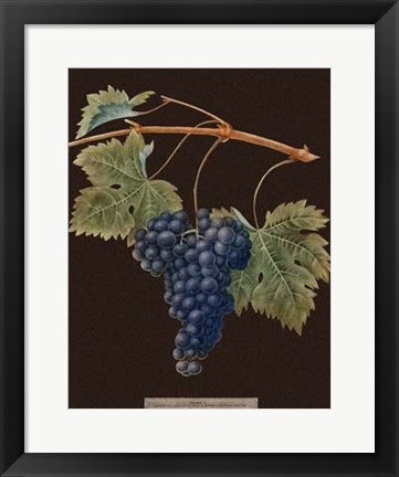 Framed Purple Grapes Print