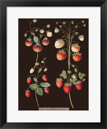 Framed Strawberries Print