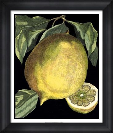 Framed Fragrant Citrus I Print