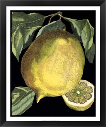 Framed Fragrant Citrus I Print