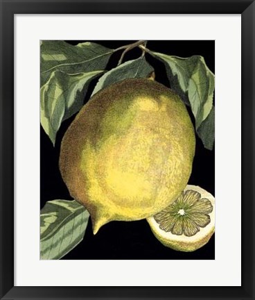 Framed Fragrant Citrus I Print