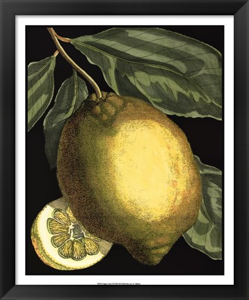 Framed Fragrant Citrus II Print