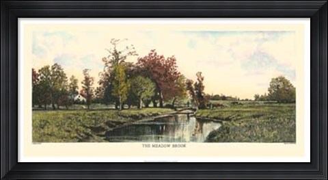 Framed Meadow Brook Print