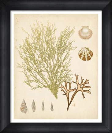 Framed Coastal Relic II Print