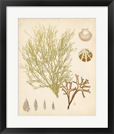 Framed Coastal Relic II Print