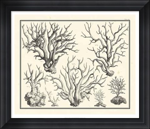 Framed Aegean Collection III Print