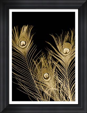 Framed Plumes D&#39;or I Print