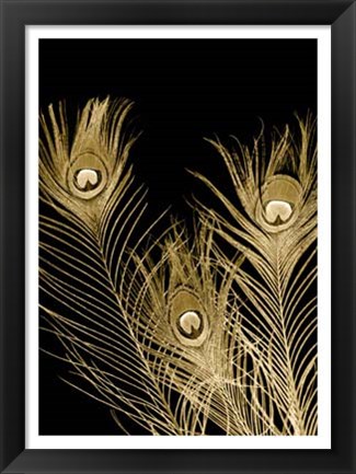 Framed Plumes D&#39;or I Print