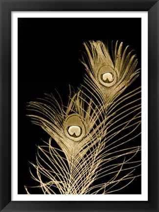 Framed Plumes D&#39;or II Print