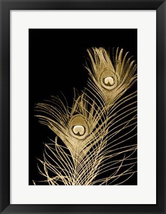 Framed Plumes D&#39;or II Print