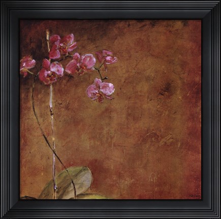 Framed Orchid Series II (Simplicity II) Print