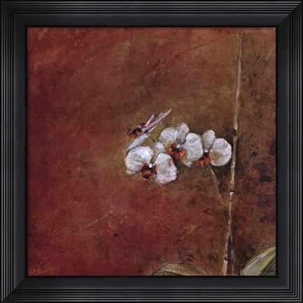 Framed Orchid Series III (Simplicity III) Print