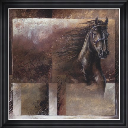 Framed Stallion Print