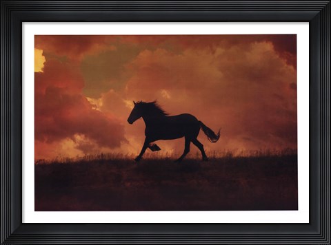Framed Forgotten Horse Print