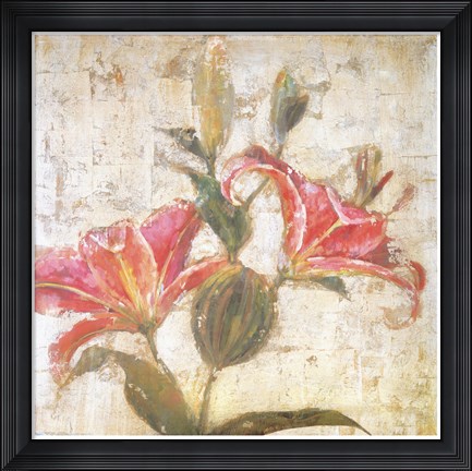 Framed Sorbet Lily II Print