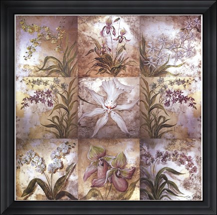 Framed Orchid Suite Print