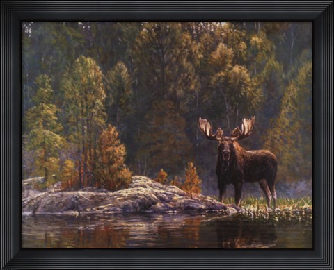 Framed North Country Moose Print