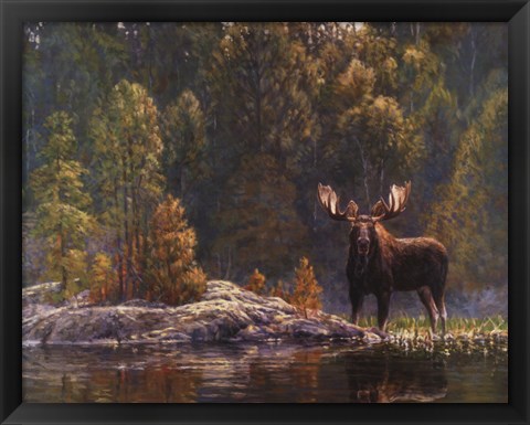 Framed North Country Moose Print