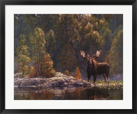 Framed North Country Moose Print