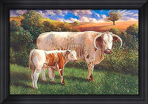 Framed Longhorn Cow And Calf Print