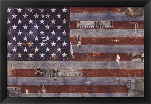 Framed Land of the Free Print