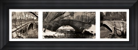 Framed Central Park Bridges Print