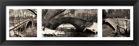 Framed Central Park Bridges Print