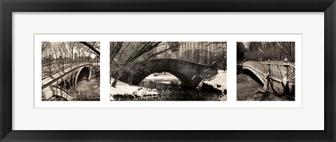 Framed Central Park Bridges Print