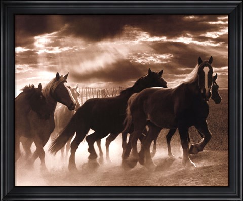 Framed Running Horses &amp; Sunbeams Print