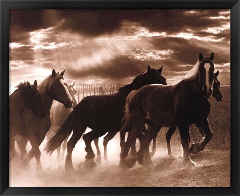 Framed Running Horses &amp; Sunbeams Print