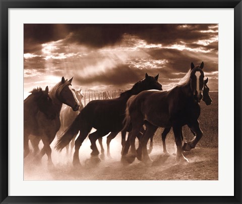 Framed Running Horses &amp; Sunbeams Print