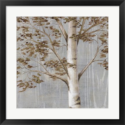 Framed Birch Study I Print