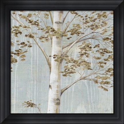 Framed Birch Study II Print