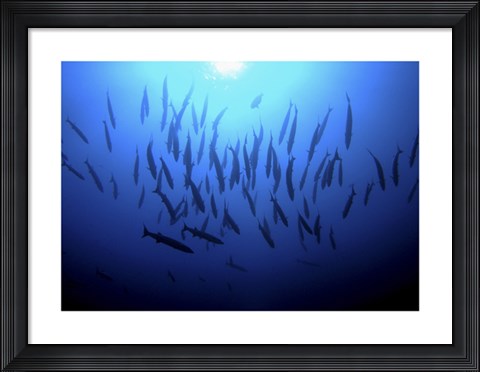 Framed Into the Deep Print