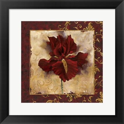 Framed Iris Print