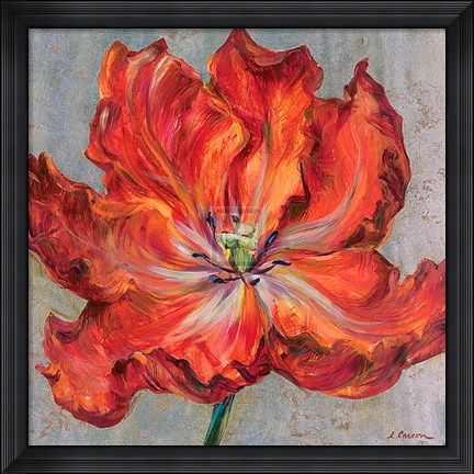 Framed Cinnabar II Print