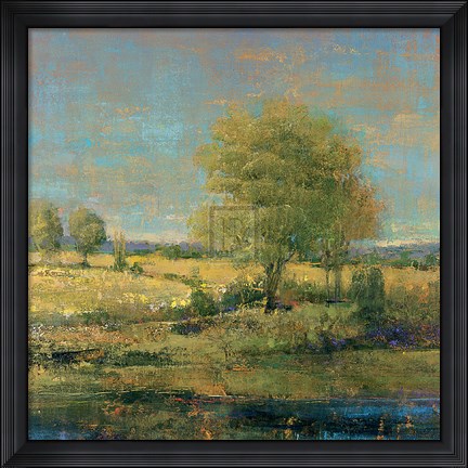 Framed Still Water Print