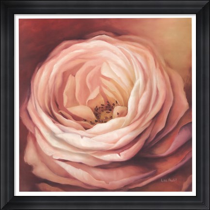 Framed Rose Portrait Print