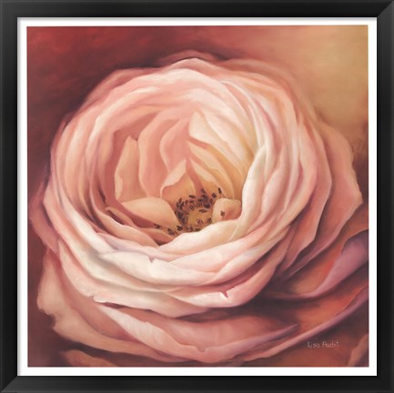 Framed Rose Portrait Print