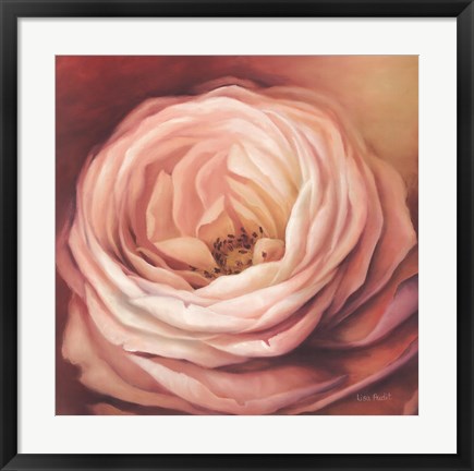 Framed Rose Portrait Print