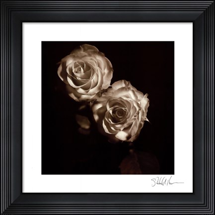 Framed Circus Roses Print