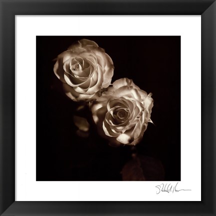 Framed Circus Roses Print