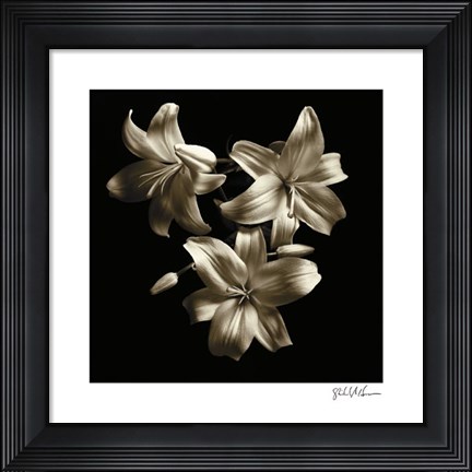 Framed Three Lilies Print