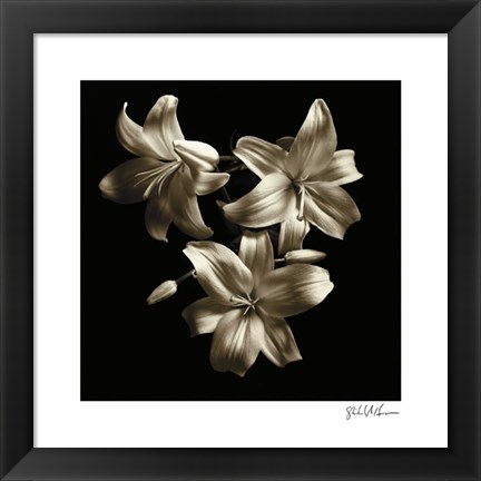 Framed Three Lilies Print